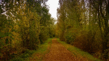 october - Free image #449005